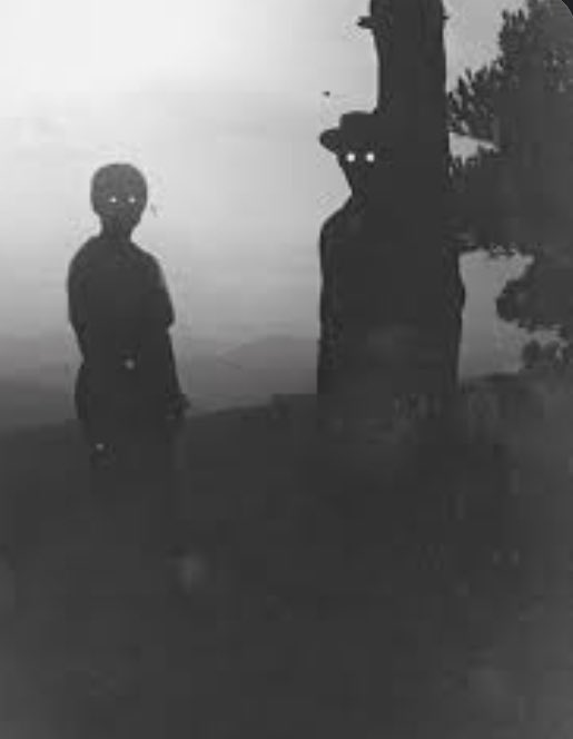 Google I have some words for you.can you stop putting creepy things in Google.kids are there and get nightmares like this:
