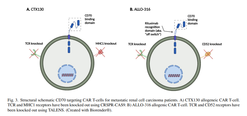 Kidney Cancer (@kca_journal) on Twitter photo Just In <a href="/KCA_Journal/">Kidney Cancer</a>: Excellent review on the current clinical trials & future directions in CAR T-cell Rx in renal cell carcinoma #KidneyCancer by <a href="/YungLyou/">Yung Lyou</a> & <a href="/TDorffOnc/">Tanya Dorff</a>👉bit.ly/3FrZRiv👉Promising therapeutic potential <a href="/OncoAlert/">OncoAlert</a> <a href="/providence/">Providence</a> <a href="/CityofHope_GU/">Genitourinary Cancer Research Team @CityofHope</a> <a href="/kidneycan/">KidneyCAN</a> Just In <a href="/KCA_Journal/">Kidney Cancer</a>: Excellent review on the current clinical trials & future directions in CAR T-cell Rx in renal cell carcinoma #KidneyCancer by <a href="/YungLyou/">Yung Lyou</a> & <a href="/TDorffOnc/">Tanya Dorff</a>👉bit.ly/3FrZRiv👉Promising therapeutic potential <a href="/OncoAlert/">OncoAlert</a> <a href="/providence/">Providence</a> <a href="/CityofHope_GU/">Genitourinary Cancer Research Team @CityofHope</a> <a href="/kidneycan/">KidneyCAN</a>