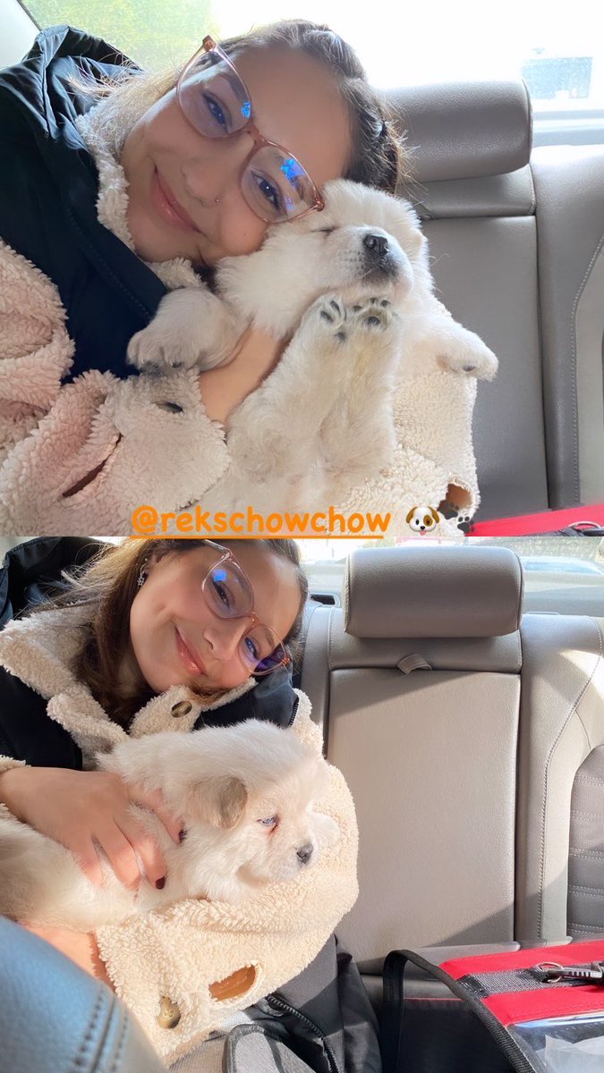 Çocuuuumla tanışın, reksim anne balı yoğurt oğluum 🐶💕