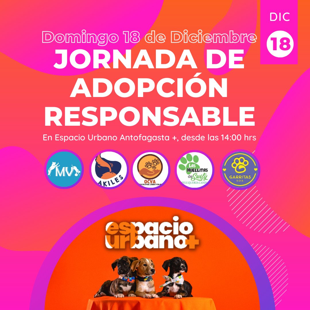 Akiles_cl's tweet photo. Este domingo 18 se diciembre habrá una jornada de adopción en espacio urbano #antofagasta 
Estarán nuestros hermosos #petcinos de las organizaciones #GarritasSOS y #OCVA , con el fin poder encontar un hogar para ellos https://t.co/4vhq2ubzRW