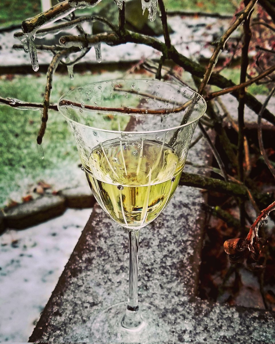 smiland's tweet photo. #wineglassselectionoftheevening 🍷During an #icestorm I think my #fallingrain @Julianna_glass was the perfect choice! #cheers #ice #juliannaglassware
#enjoywine #wineglass #wineglasscollection #winelover #winolicious #wineoclock #wine #winetime #winenot #winelove #winelovers https://t.co/jVRNgwvTdX