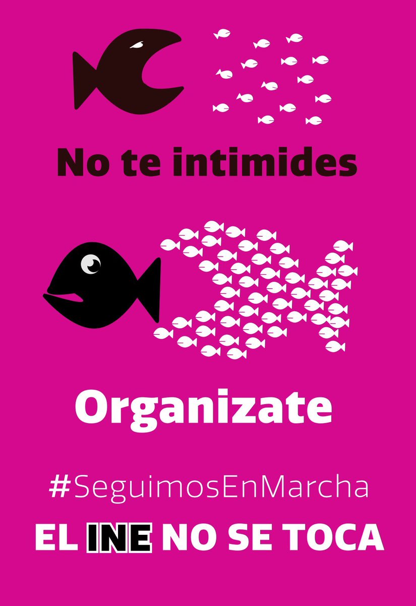 SocCivilMx's tweet photo. #SeguimosEnMarcha https://t.co/HbjjEACibW