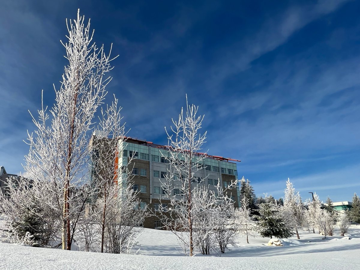 University of Northern British Columbia (UNBC) tweet media