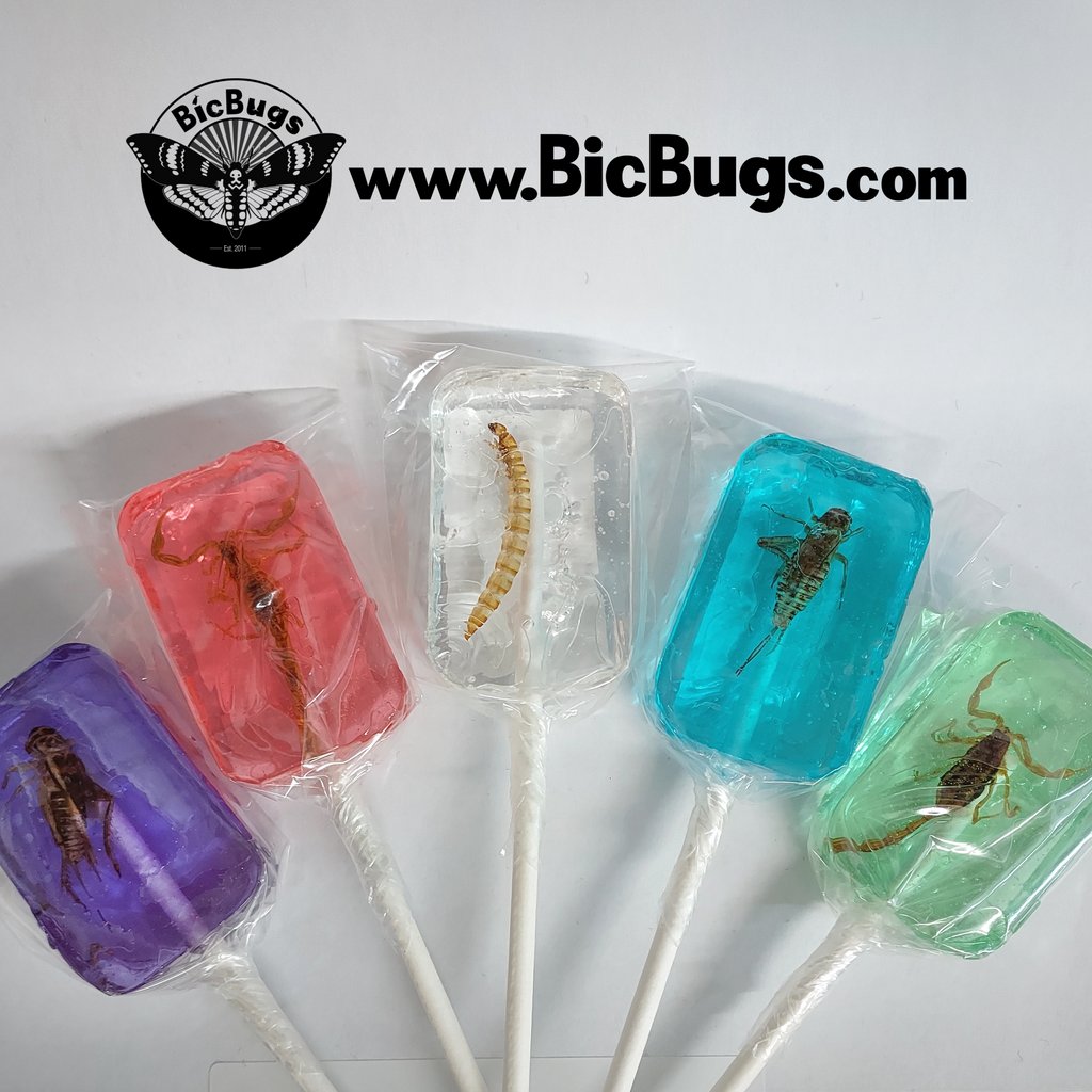🍭 Got a sweet tooth? Satisfy your cravings with a bug sucker! These lollipops come flavored like grape, strawberry, tequila, blue raspberry, and more! They also come with an extra treat at the center👀
#edibleinsects #ediblebugs #entomology #insectcollection #oddities