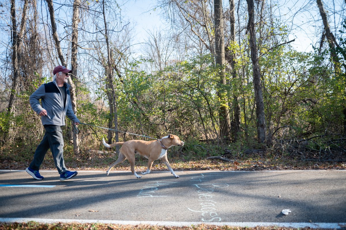 collegeparkrun's tweet photo. Your #barkrunner will thank you for bringing them along for a #parkrun or #parkwalk on a Saturday morning. (They might nap all afternoon, too.) See you at #AcredalePark in #CollegePark, 9am. Enjoy these #doggo pics 🐶🐕🦮🐕‍🦺🐩 https://t.co/wlagjBXUxE