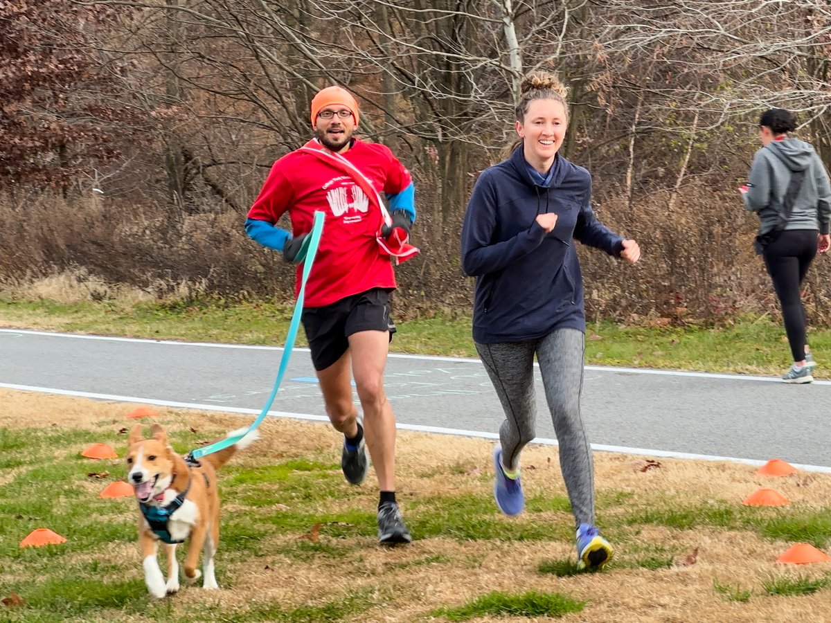 collegeparkrun's tweet photo. Your #barkrunner will thank you for bringing them along for a #parkrun or #parkwalk on a Saturday morning. (They might nap all afternoon, too.) See you at #AcredalePark in #CollegePark, 9am. Enjoy these #doggo pics 🐶🐕🦮🐕‍🦺🐩 https://t.co/wlagjBXUxE