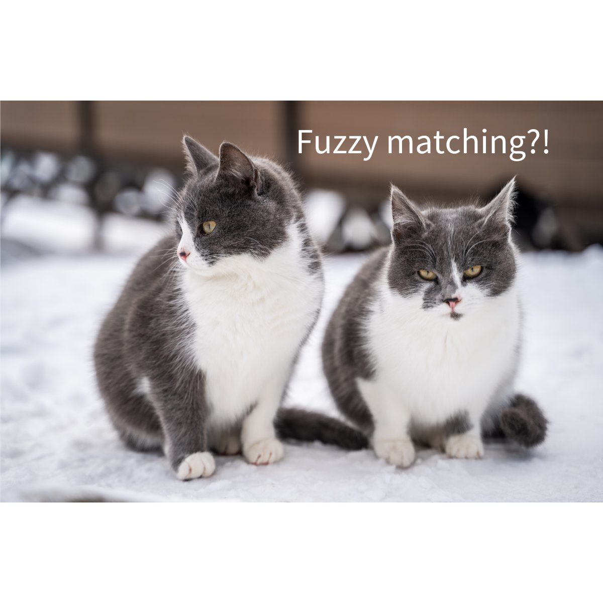 By taking into account real-world issues such as typos and misspellings, fuzzy name matching improves on exact matching processes. Learn more in our latest post #FuzzyMatching #FuzzyLogic hubs.la/Q01vFZs-0