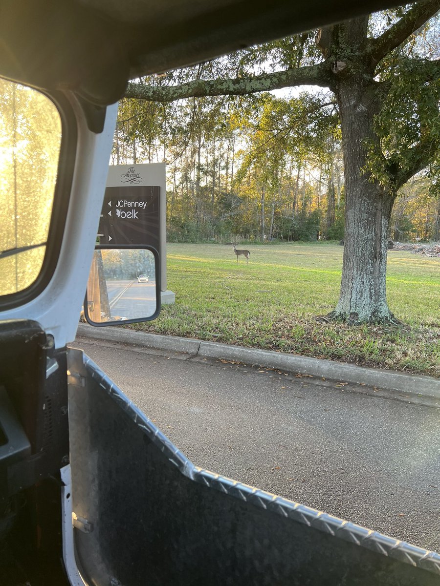 Olcracker's tweet photo. #DrunkChristmasShopping 
Starts #Now!
#Deer! at the Mall 
Lol!
#jeepview @Jeep #jeep #yjstule https://t.co/rPDIAIw6AV