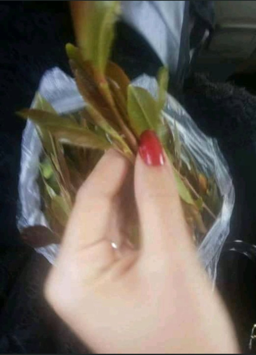 خميسكم وناسة