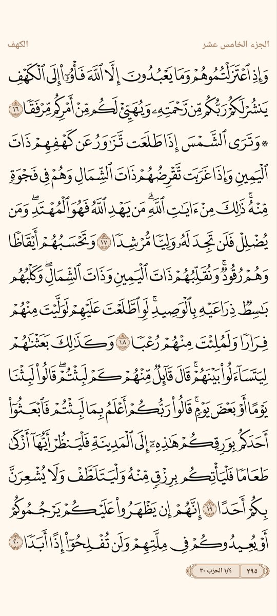 المُصْحَف tweet media