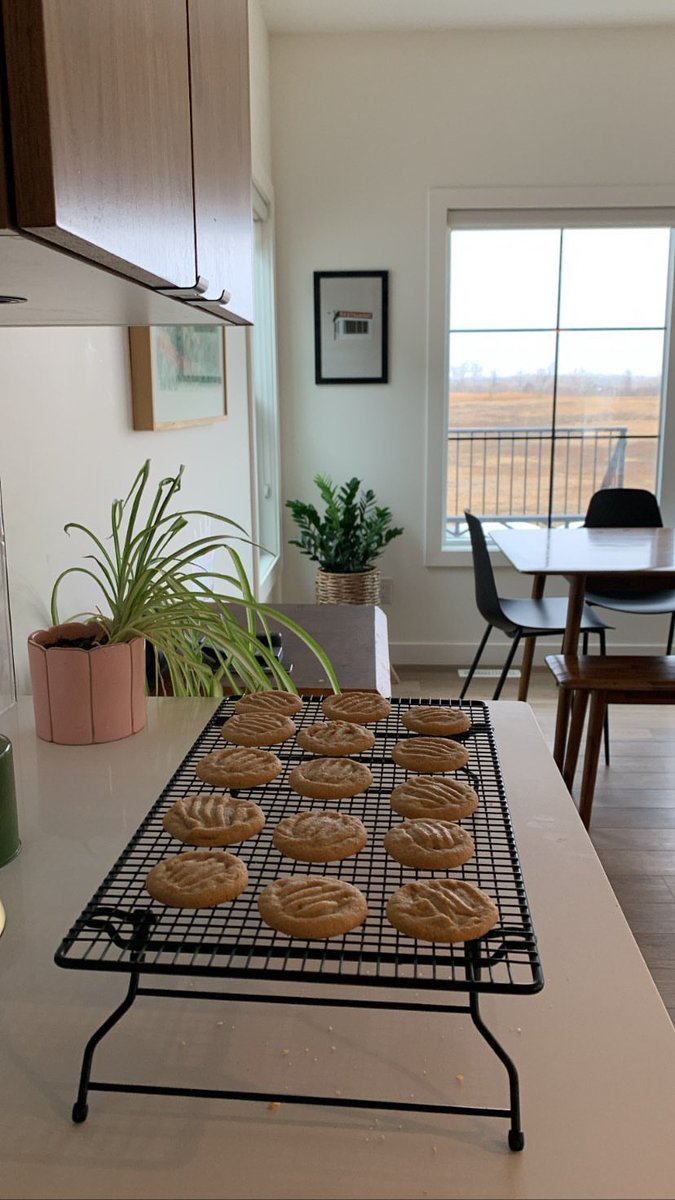 LAChampAnt's tweet photo. @ExtremelyTrains @clhubes Haha no offence taken, these photos are a bit cold. This was before we moved in, so the space has been warmed considerably imo :) Justice for my kitchen! https://t.co/05UHqBLSsP