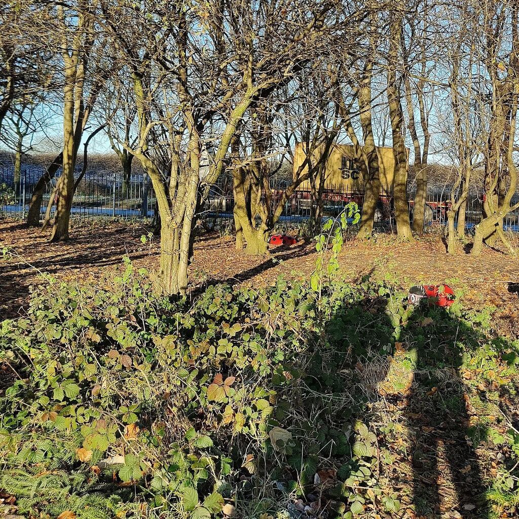 lotusbrook's tweet photo. Planning in the #wintersun 🌞😎😊
Was a good day for a site visit to @nethertonparknc 

#urbanwood #urbangreenspace #community
#greenlcr https://t.co/V7pM8GLHtJ