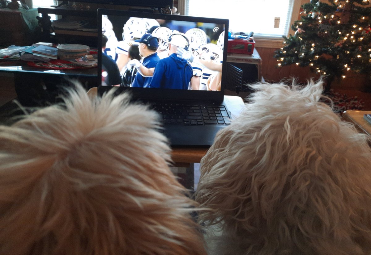 lnjsports's tweet photo. Working from home today. Writing stuff, putting together budgets and monitoring state championship games. Thankfully I have two capable spotters. https://t.co/YwYCm6x8iU