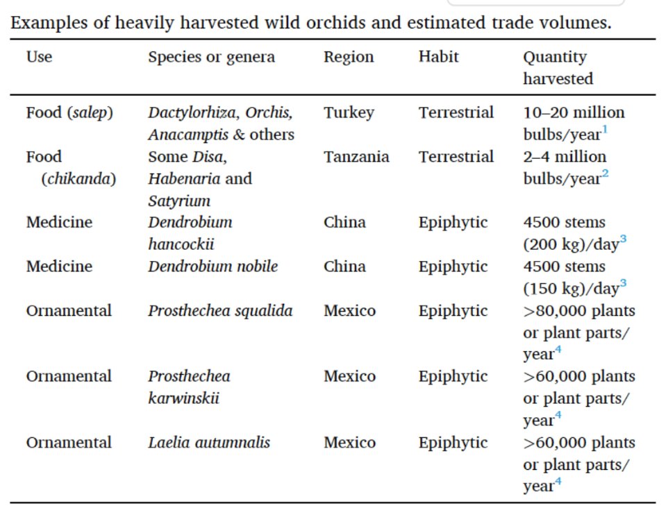 marthonio_'s tweet photo. 🧵(1/2) Thousands of #orchids are wild harvested globally leading to alarming declines &amp; an assumption that orchid harvest can never be #sustainable. We need to be pragmatic on orchid #IllegalTrade &amp; understand the importance of wild orchid #harvest for livelihoods &amp; culture. https://t.co/KVc7FJKmhH