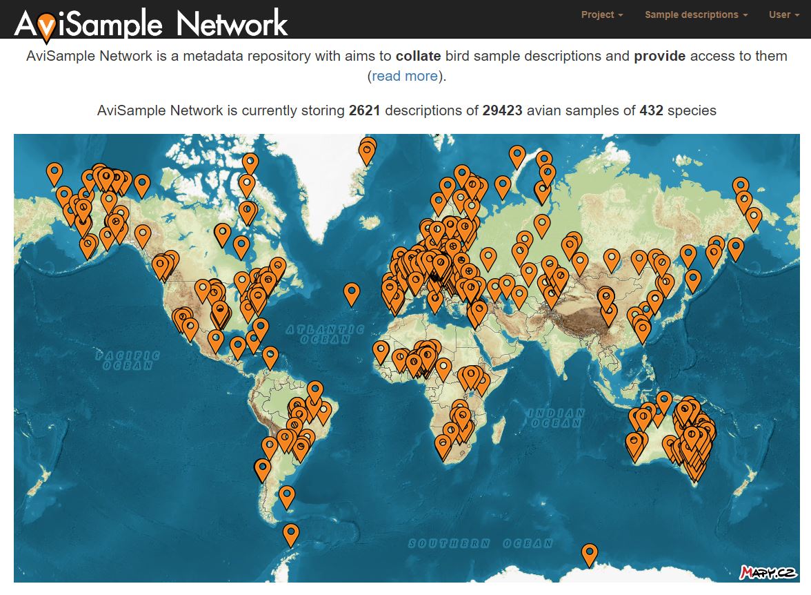 AviSample Network tweet media