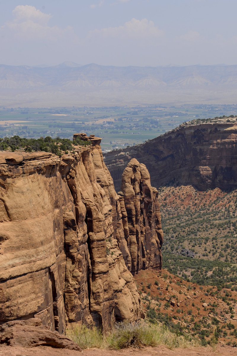 Sandra Audujas tweet media