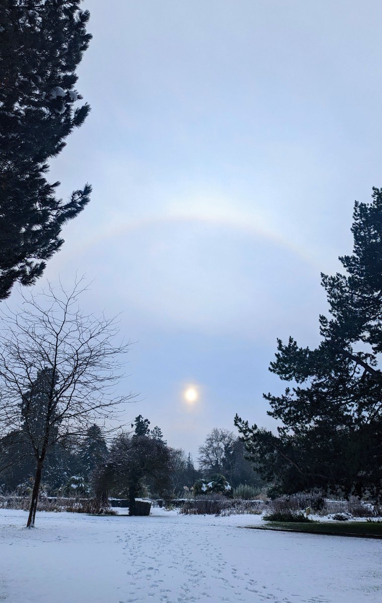 Holly_sophia (@hollysophiaa) on Twitter photo I'm so lucky to be able to have a quick lunchtime stroll around
<a href="/CUBotanicGarden/">Cam Botanic Garden</a>
...and Tuesday paid off with this
beautiful fogbow! I'm so lucky to be able to have a quick lunchtime stroll around
<a href="/CUBotanicGarden/">Cam Botanic Garden</a>
...and Tuesday paid off with this
beautiful fogbow!