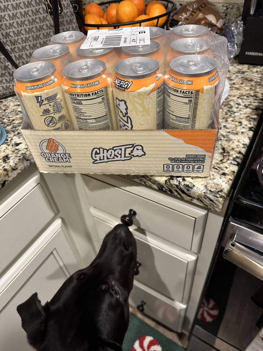 UGCMamaQ's tweet photo. Switching back to dayshift.
Means I’m going to need a little bit of help
@GhostLifestyle #getthebread
👻🌞 https://t.co/w8qOBSq8YX