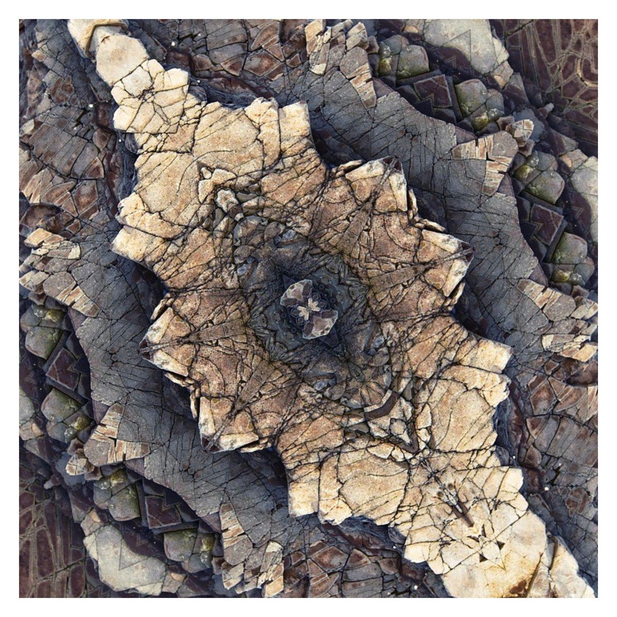 Temple Invisible tweet media