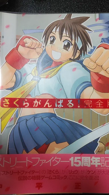 神月かりんを描く資料の為に15年ぶりぐらいに引っぱり出した15周年のサイイン本。普通に読んでただけでお絵描きに生かせれませんでしたが。 