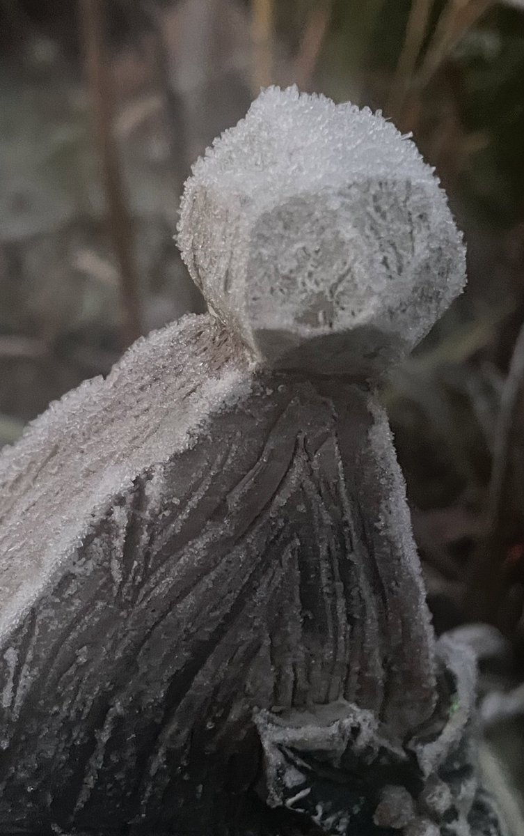 #365in2022 349/365 #frostythesnowman #frost #snowmanhat #frostymorning #gardenlife #winter2022 #winter #gardenornaments