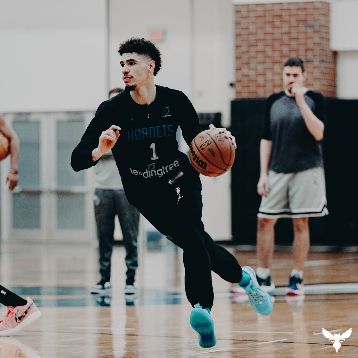 hornets's tweet photo. Rainy day work. ☔ https://t.co/w4h84PmtaT