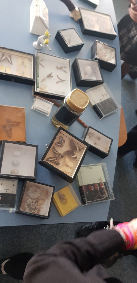 Mrs Francisco tweet media