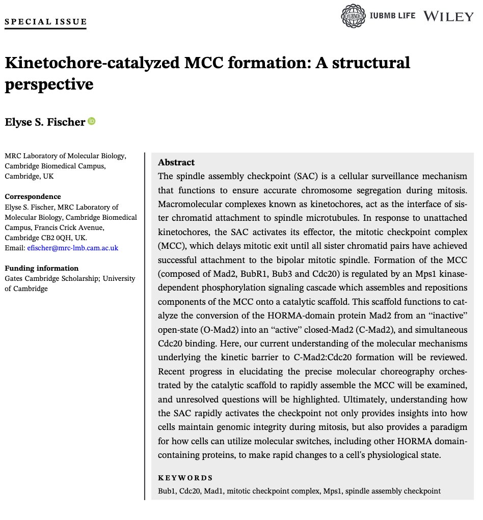 I'm excited to share that I wrote a review on 'Kinetochore-catalyzed MCC formation: A structural perspective' and it is now published online! I hope it will be helpful to many in the kinetochore field and beyond. iubmb.onlinelibrary.wiley.com/doi/epdf/10.10…