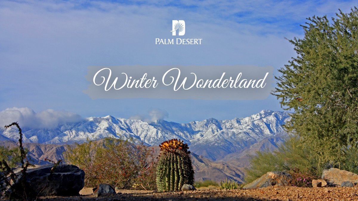 Happy First Day of Winter from a true Wonderland! discoverpalmdesert.com