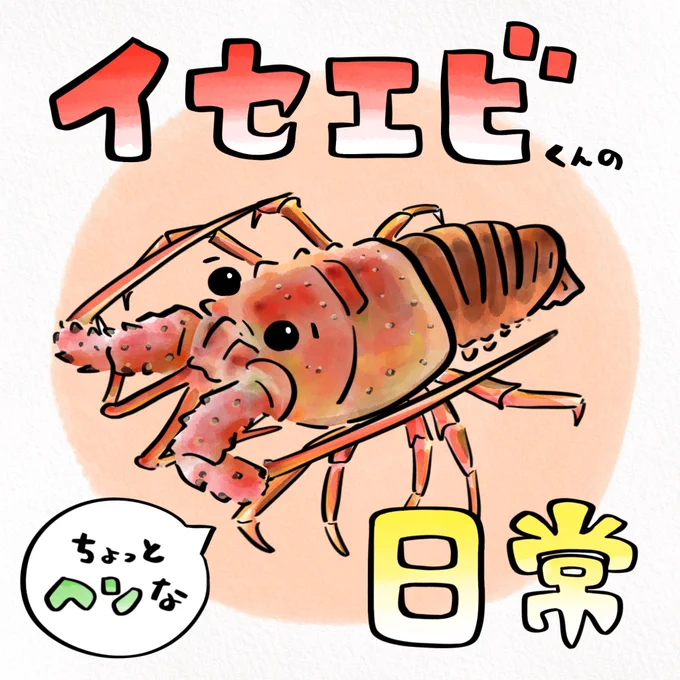 伊勢海老くん、タコからの逃げ方可愛い 