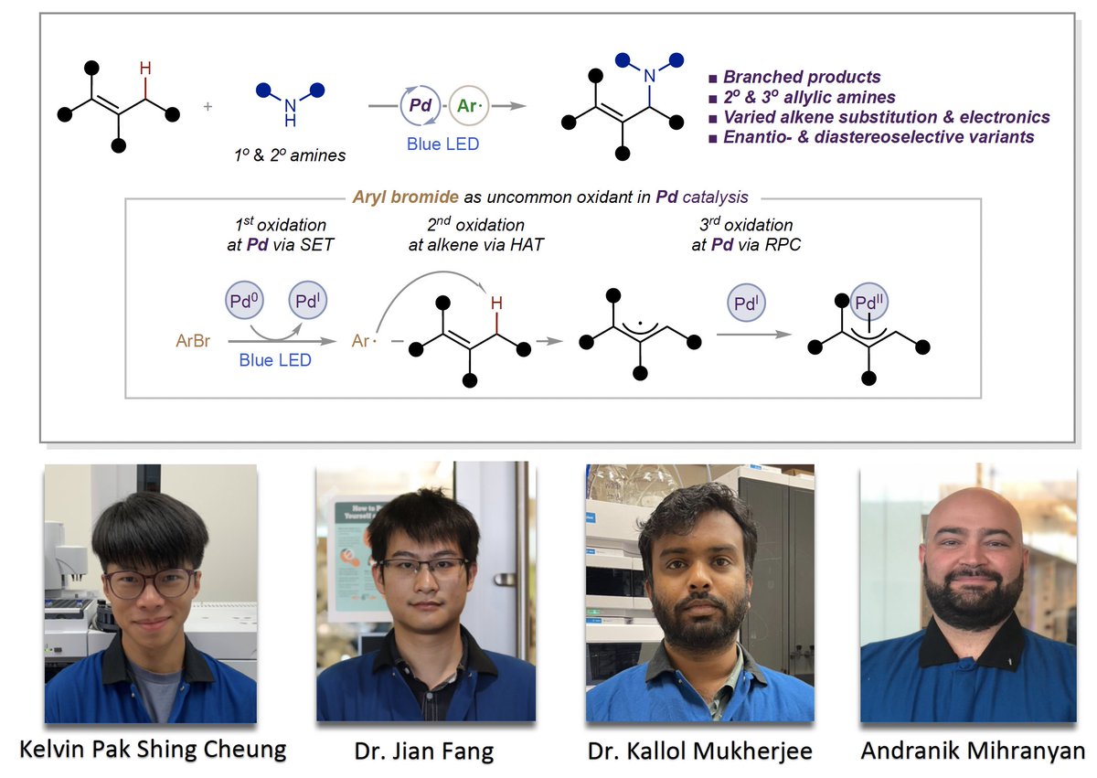 Gevorgyan Lab (@gevorgyanlab) on Twitter photo We're excited to share our work on asymmetric allylic CāH amination via Pd(0/I/II) manifold that allows for amination of internal alkenes with basic amines with good stereocontrol! Congrats to Kelvin, Jian, Kallol, & Andy for this methodology, now published in <a href="/ScienceMagazine/">Science Magazine</a> We're excited to share our work on asymmetric allylic CāH amination via Pd(0/I/II) manifold that allows for amination of internal alkenes with basic amines with good stereocontrol! Congrats to Kelvin, Jian, Kallol, & Andy for this methodology, now published in <a href="/ScienceMagazine/">Science Magazine</a>