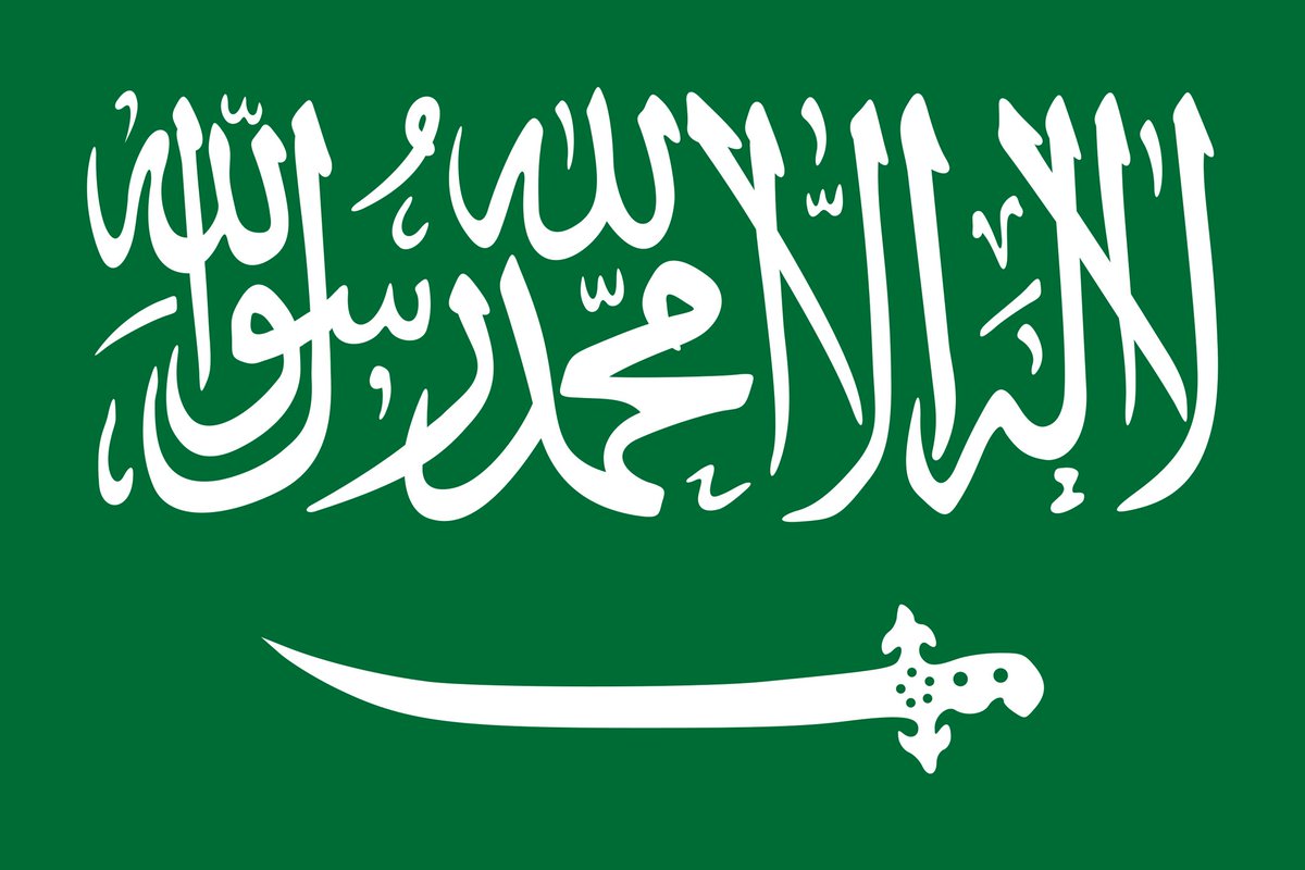 🇸🇦