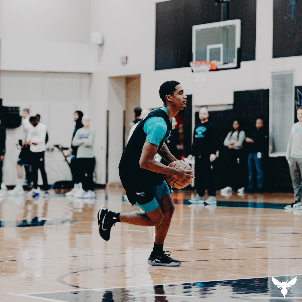 hornets's tweet photo. Rainy day work. ☔ https://t.co/w4h84PmtaT