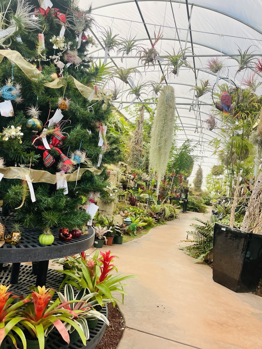 Luis Vasquez-Ajmac` tweet media