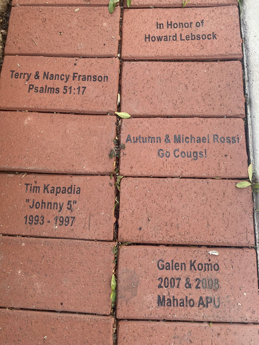 Support Cougar Baseball by buying a brick at the Cougar Baseball Complex! LINK TO ORDER: igfn.us/f/42mp/n