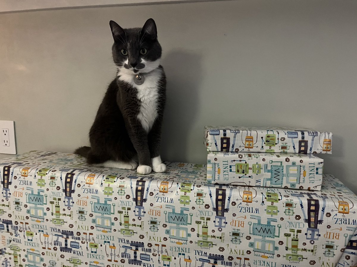 BurtyButt's tweet image. The most helpful cat in the world, making sure the human wrapped these presents correctly.