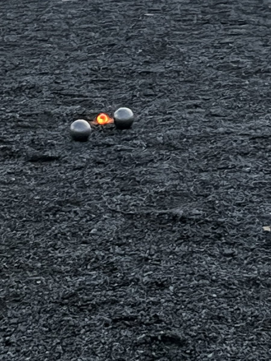 PetanqueInSeattle tweet media