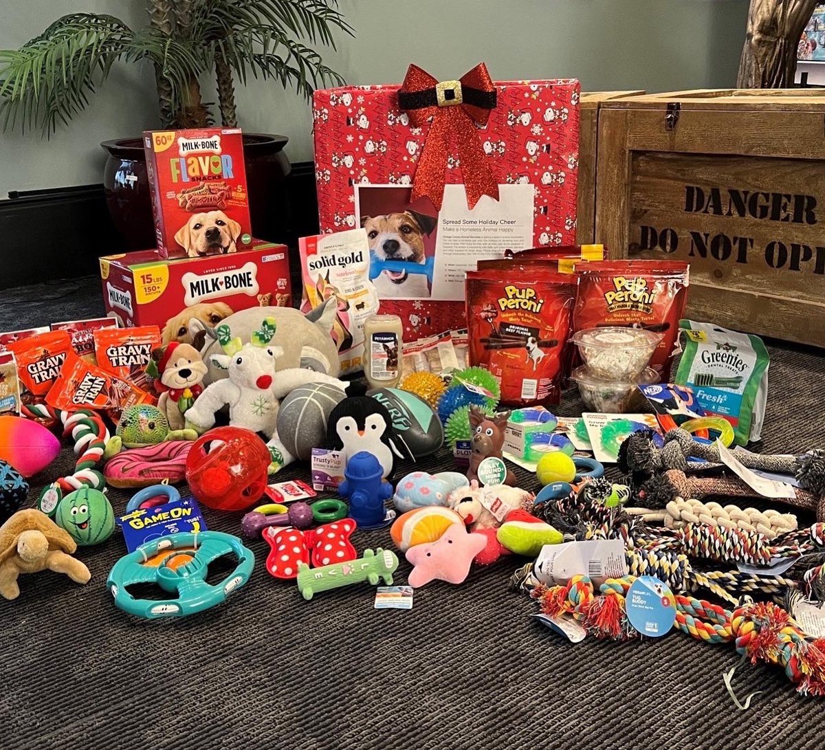 ITECentCorp's tweet photo. We were happy to support our local @OCAS_Orlando and efforts to make a shelter animal happy during the holidays. Let’s hope all homeless animals soon get forever homes! https://t.co/GPvTIm1XOh