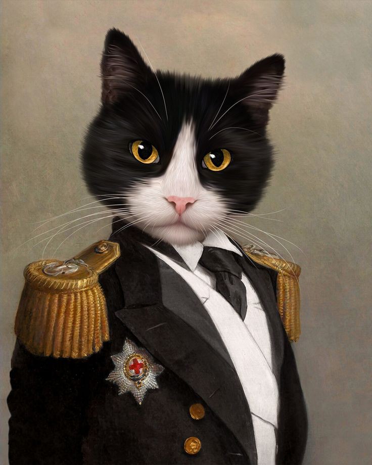 ile0719's tweet photo. Lady Perlita y Lord Silvestre principes de la casa. Falta su Majestad Peque https://t.co/Ww9qj2cu12