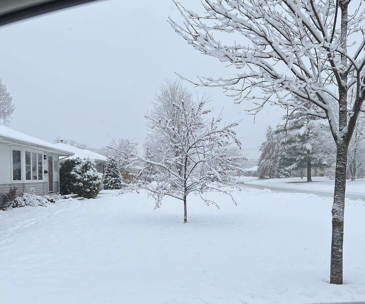 NILKAB's tweet image. #snowtime