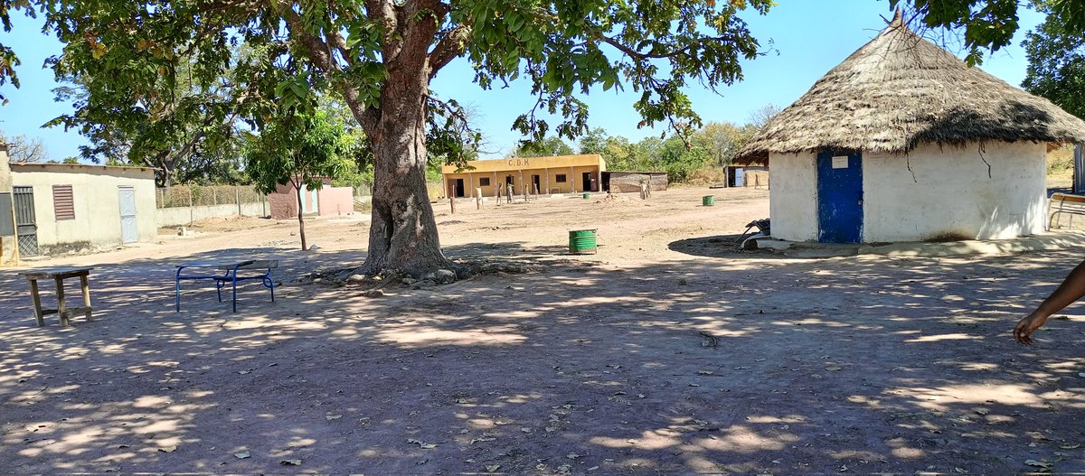 ADAMAsleader's tweet photo. # je suis élève nouvelle diplômée je participe a la propreté de l'établissement de mon village.Alhamdoulilah la population a répondu à mon appel pour rendre propre le lycée dont le terrain n'était pas praticable.
#ppj
# clubs des jeunes filles
# UNICEF
#joffa https://t.co/owBh6SEivX