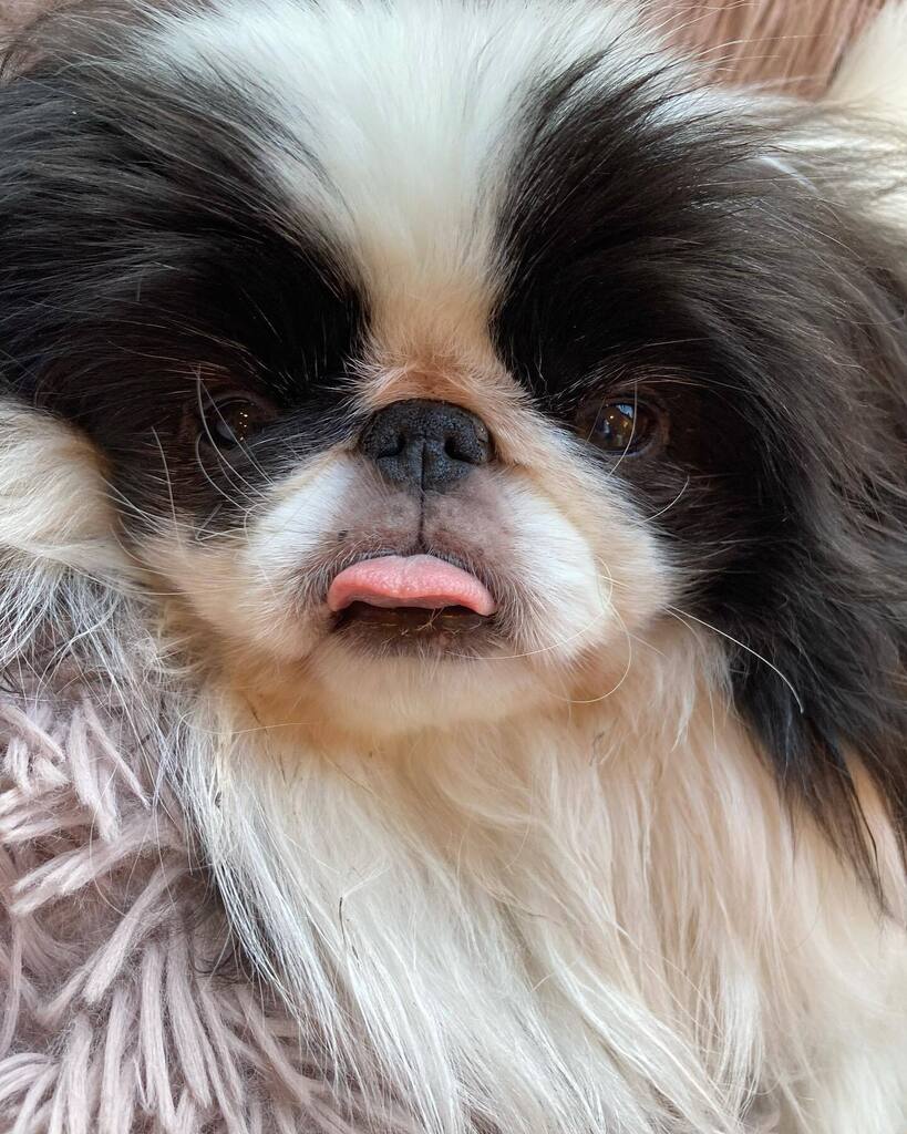Hugosneezechin's tweet photo. I dare you…make my day https://t.co/3TA4NNKUJu