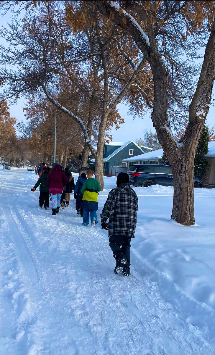 Mrs Shannon LeCouffe tweet media