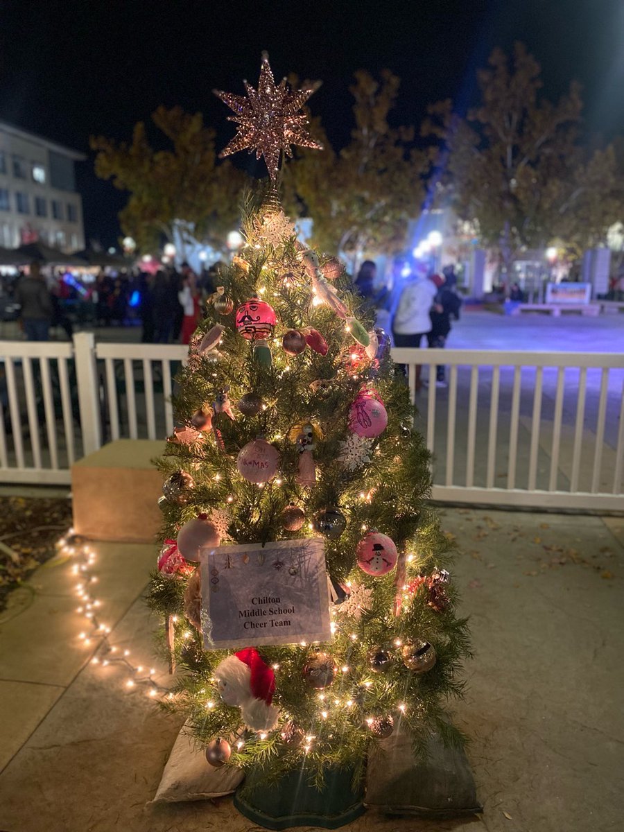 Our amazing Chilton Cheer Team got 2nd Place at the City of Roseville Christmas Tree Grove Decorating Competition! Way to go Bobcats! #WeRChilton #rcsdchampions