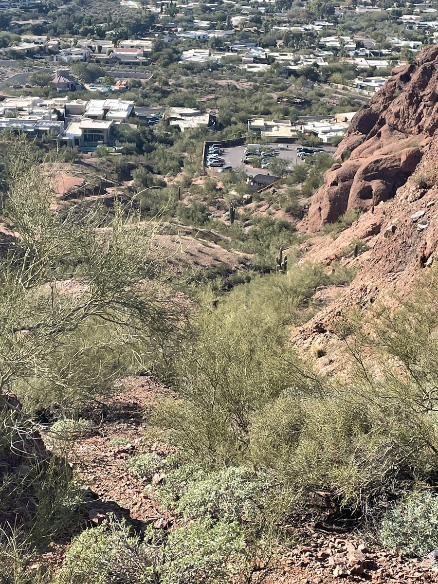 ScotPataky's tweet image. Day 4 in the desert 🌵. Decided to hike up the Camelback Mountains test my mental game. To all you doubters and current players , Coach Scot accomplished the feat at age 50. And to CP8, #builtdifferent.