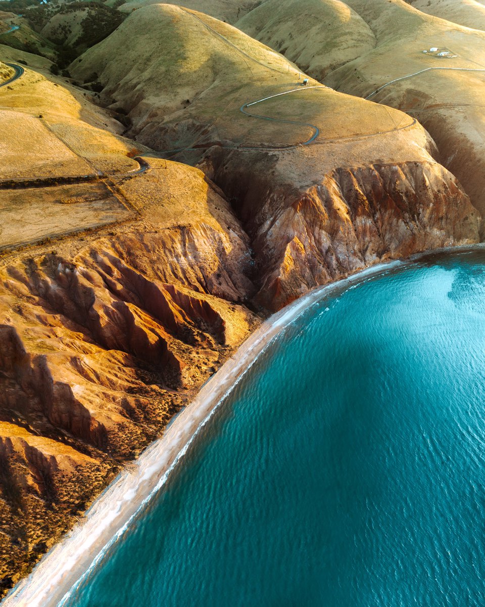 Merr Watson tweet media