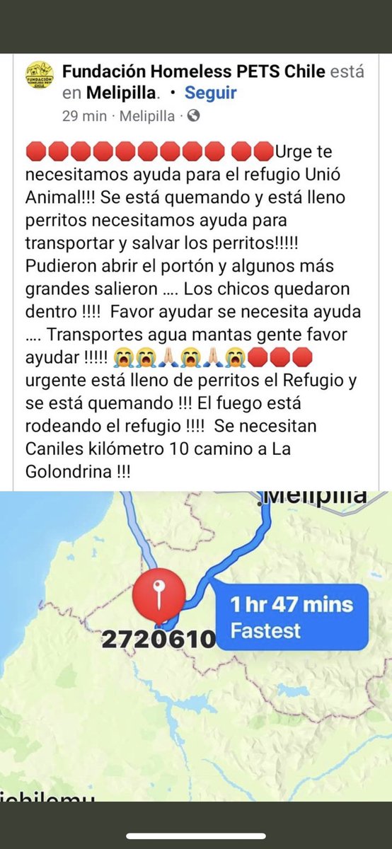 jaqueonate's tweet photo. @biobio Favor difundir 😭 se necesita ayuda para refugio unión animal!!! Hay muchos perritos, el refugio se está quemando!!!!!!  #IncendioForestal https://t.co/T5viJwT3Qr