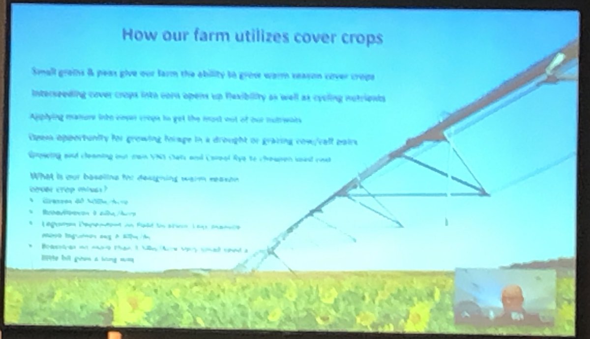 MnSoil's tweet image. Dan Janski from Stearns described watching his “4-legged manure spreaders processing feed” or cattle grazing, as so beautiful it takes the words out of your mouth. Cover crops for forage make a complete system! #SMS2022
