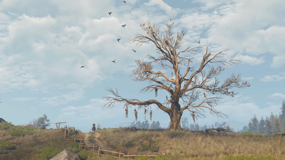 ivolite's tweet image. الصمتُ في حرمِ الجمَالِ .. جمَالُ 🤍
#PS5Share,
#TheWitcher3WildHunt