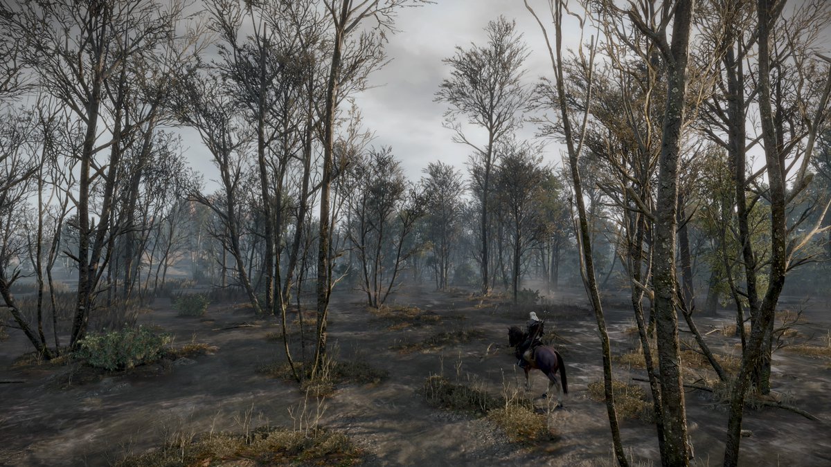 ivolite's tweet image. الصمتُ في حرمِ الجمَالِ .. جمَالُ 🤍
#PS5Share,
#TheWitcher3WildHunt